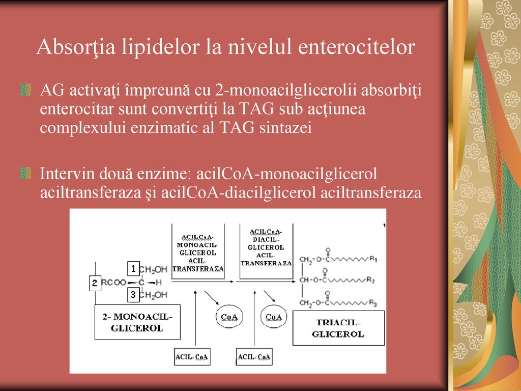 matricea subțire lipidic