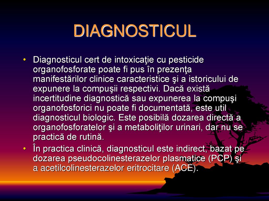 DIAGNOSTICUL