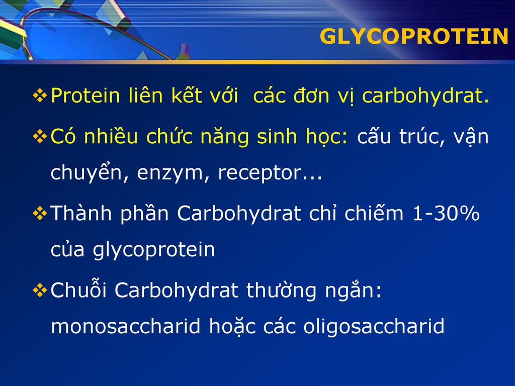 GLYCOPROTEIN Protein liên kết với các đơn vị carbohydrat.