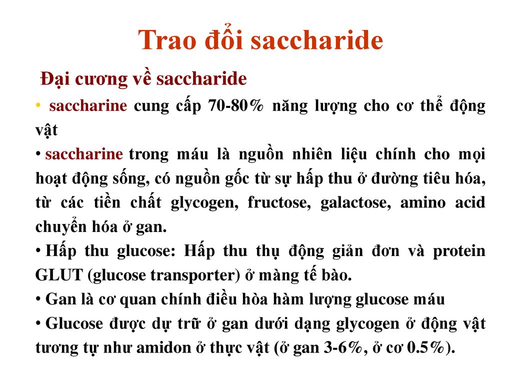 Trao đổi saccharide Đại cương về saccharide