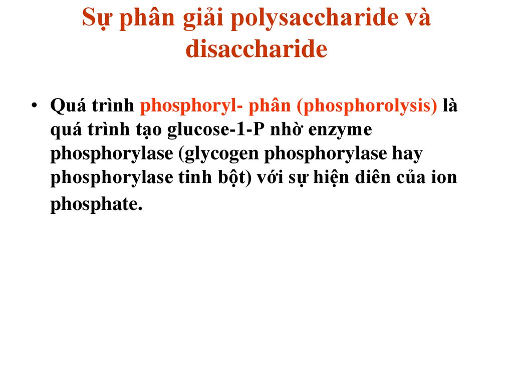 Sự phân giải polysaccharide và disaccharide