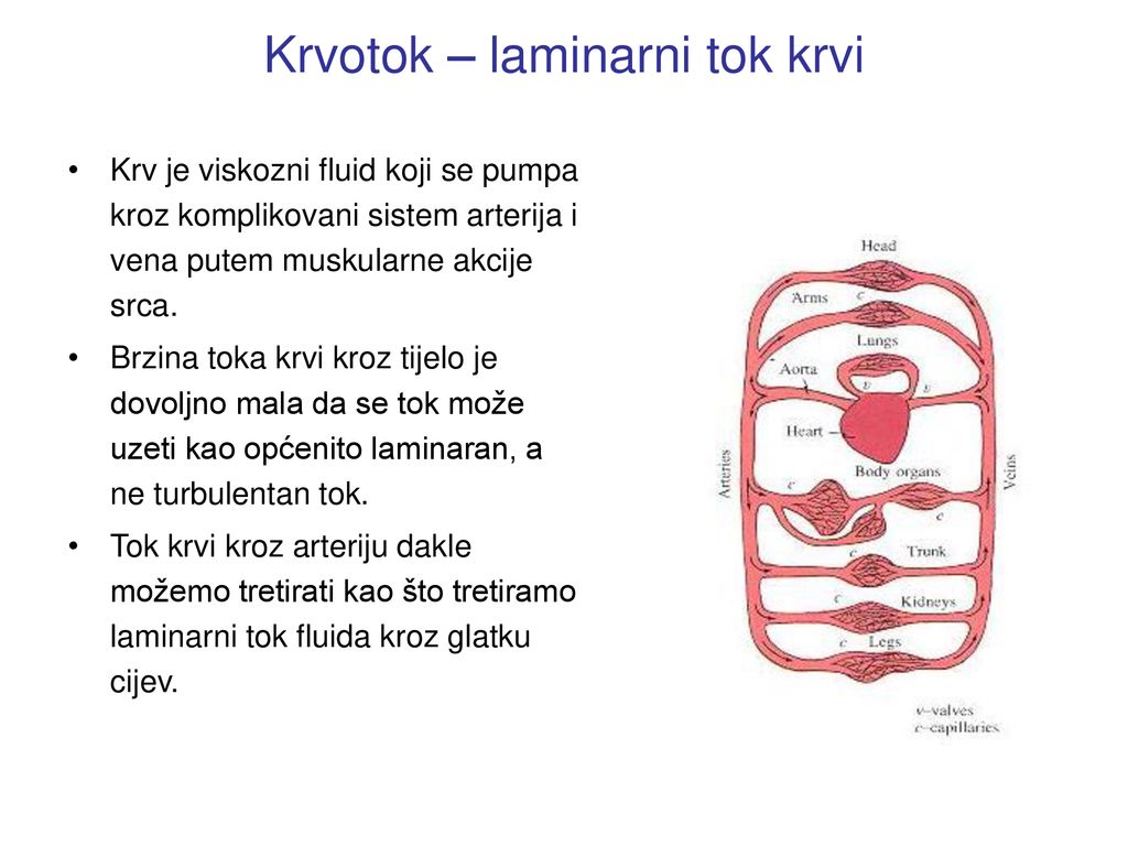 BIOMEHANIKA KARDIOVASKULARNOG SISTEMA - Ppt κατέβασμα