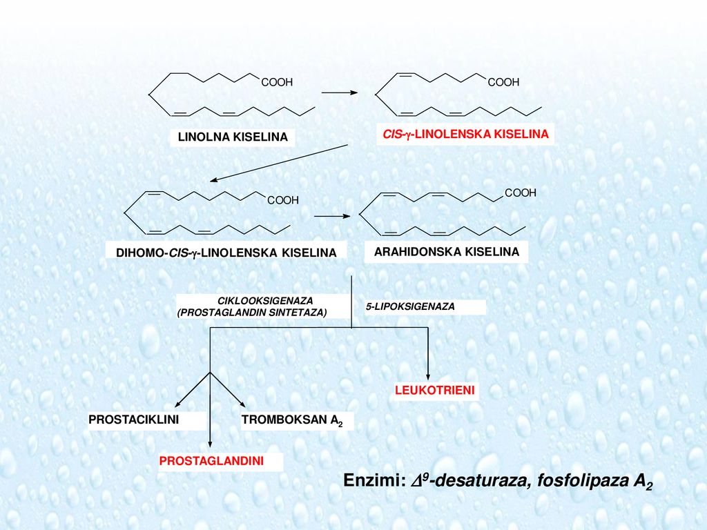 Gama linolenska kiselina
