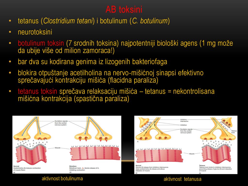 ANTIMIKROBNI AGENSI I PATOGENOST MIKROORGANIZAMA - Ppt κατέβασμα