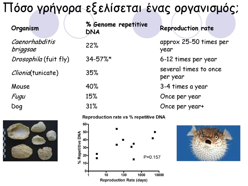 ΕΞΕΛΙΞΗ “nothing in biology makes sense except in the light of