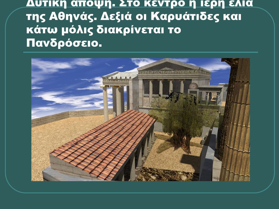 Δυτική άποψη. Στο κέντρο η ιερή ελιά της Αθηνάς