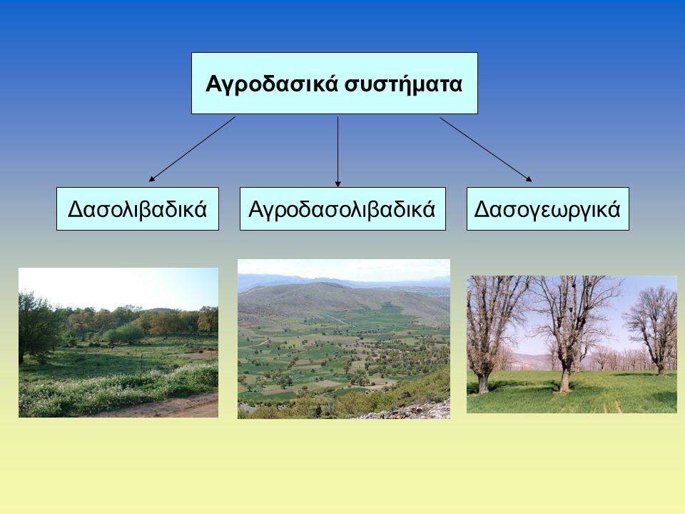Αγροδασικά συστήματα Δασολιβαδικά Αγροδασολιβαδικά Δασογεωργικά