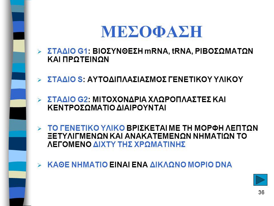 ΜΕΣΟΦΑΣΗ ΣΤΑΔΙΟ G1: ΒΙΟΣΥΝΘΕΣΗ mRNA, tRNA, ΡΙΒΟΣΩΜΑΤΩΝ ΚΑΙ ΠΡΩΤΕΙΝΩΝ