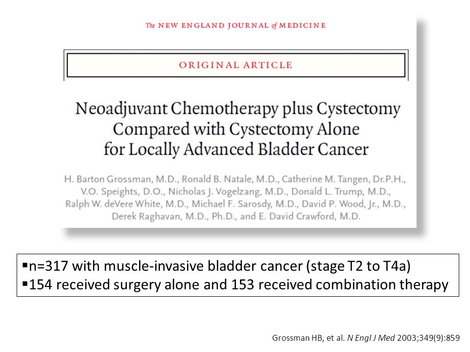 n=317 with muscle-invasive bladder cancer (stage T2 to T4a)