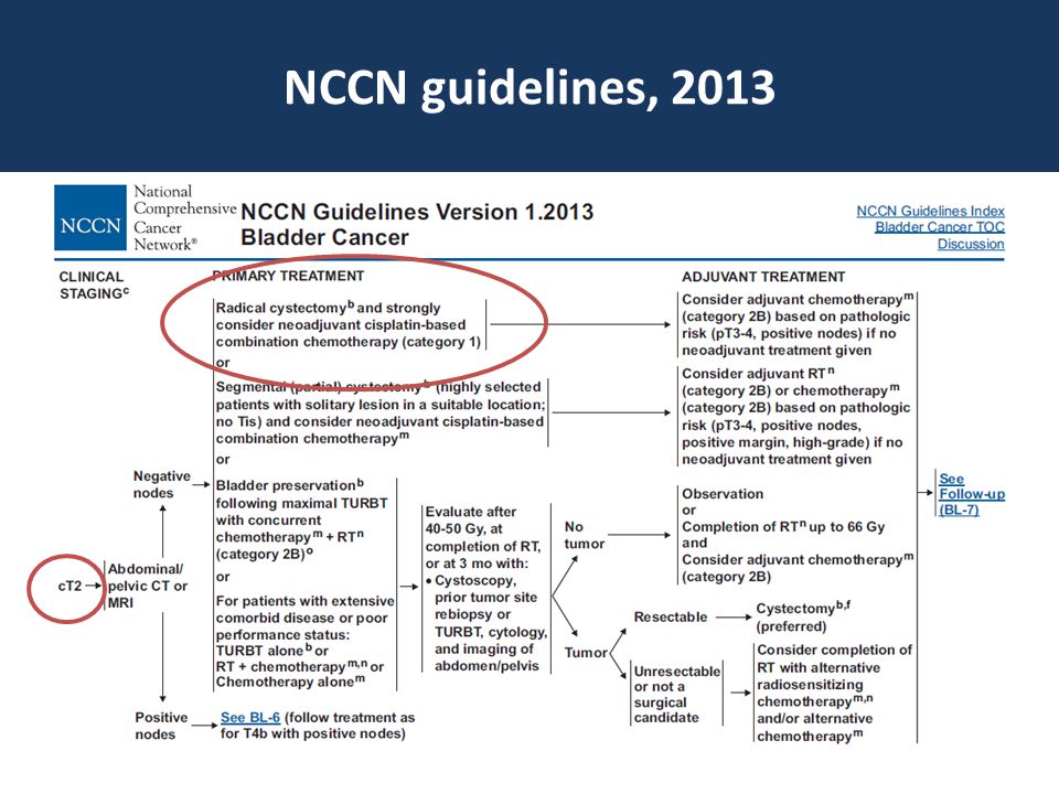 NCCN guidelines, 2013