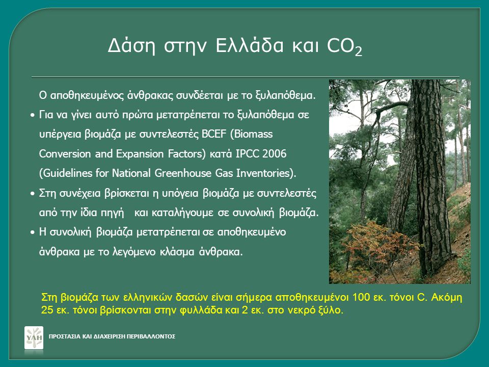 Δάση στην Ελλάδα και CO2 Ο αποθηκευμένος άνθρακας συνδέεται με το ξυλαπόθεμα.