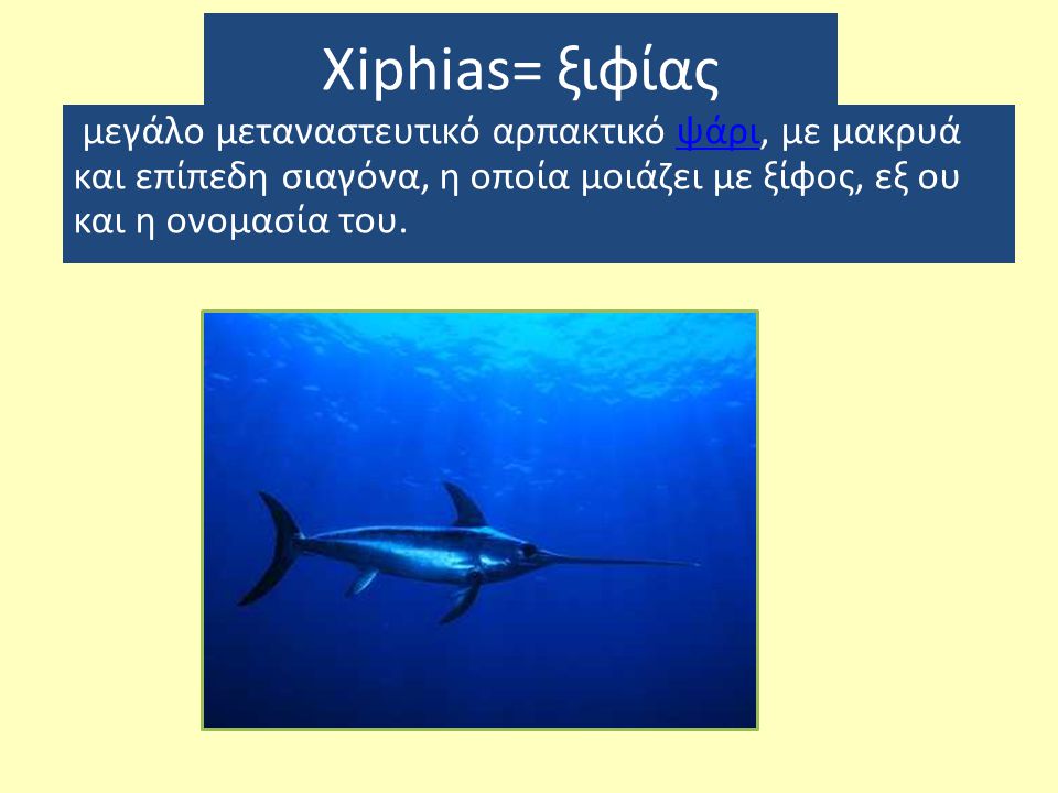 Xiphias= ξιφίας μεγάλο μεταναστευτικό αρπακτικό ψάρι, με μακρυά και επίπεδη σιαγόνα, η οποία μοιάζει με ξίφος, εξ ου και η ονομασία του.