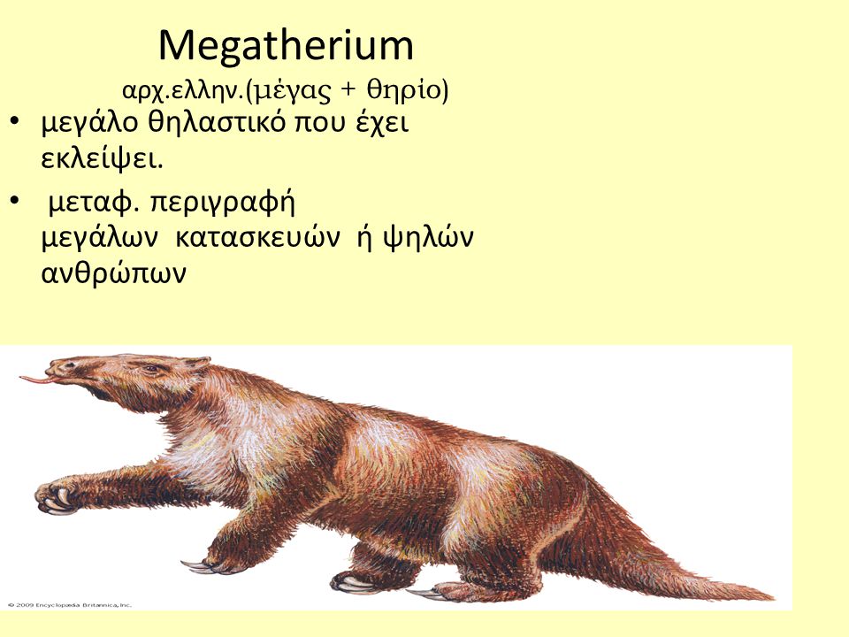 Megatherium αρχ.ελλην.(μέγας + θηρίο)