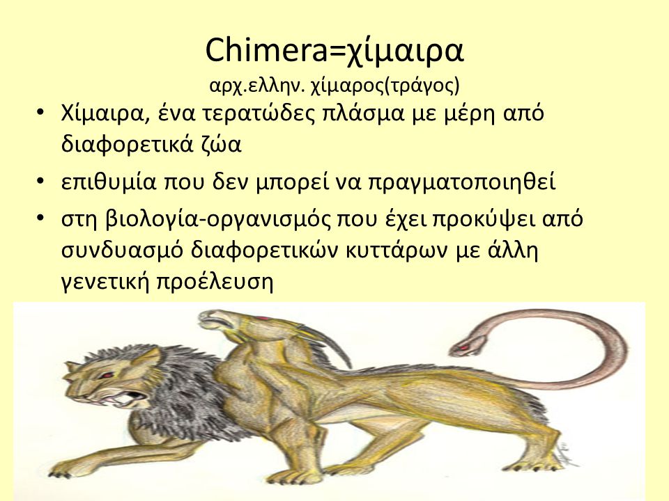 Chimera=χίμαιρα αρχ.ελλην. χίμαρος(τράγος)