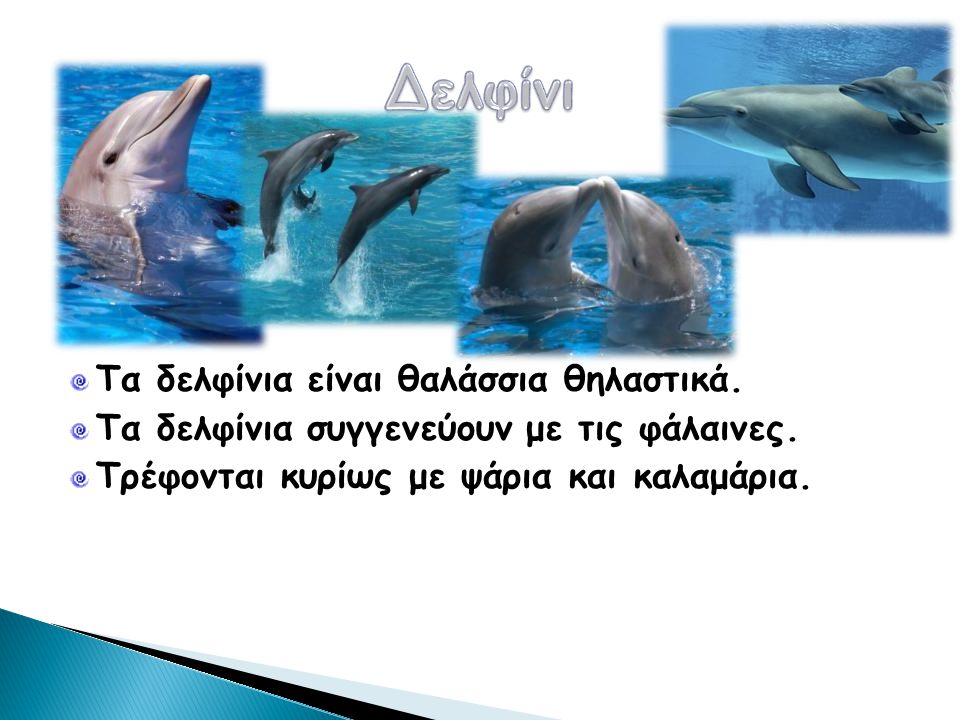 Δελφίνι Τα δελφίνια είναι θαλάσσια θηλαστικά.