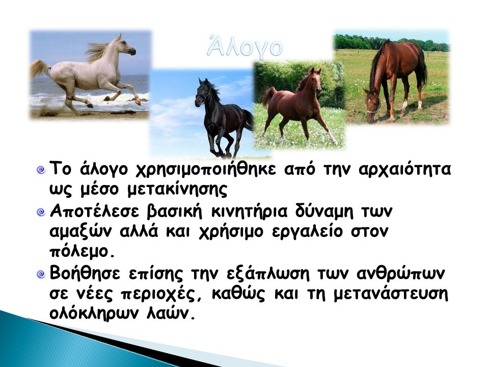 Άλογο Το άλογο χρησιμοποιήθηκε από την αρχαιότητα ως μέσο μετακίνησης
