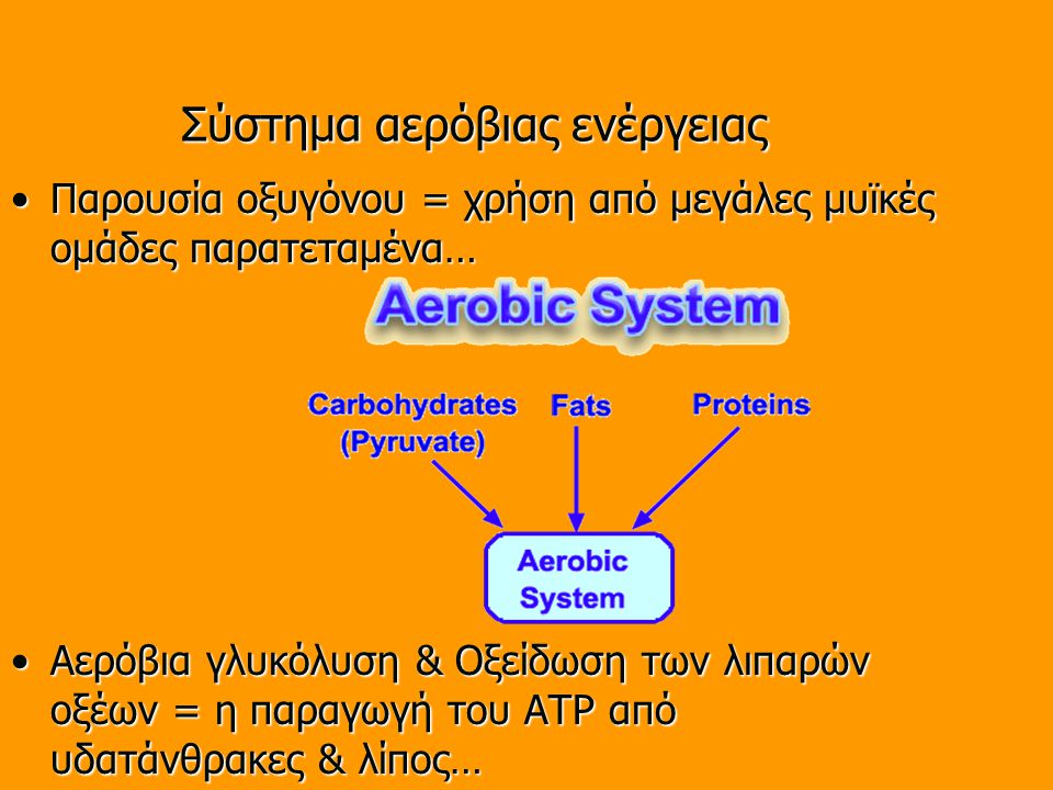 Σύστημα αερόβιας ενέργειας