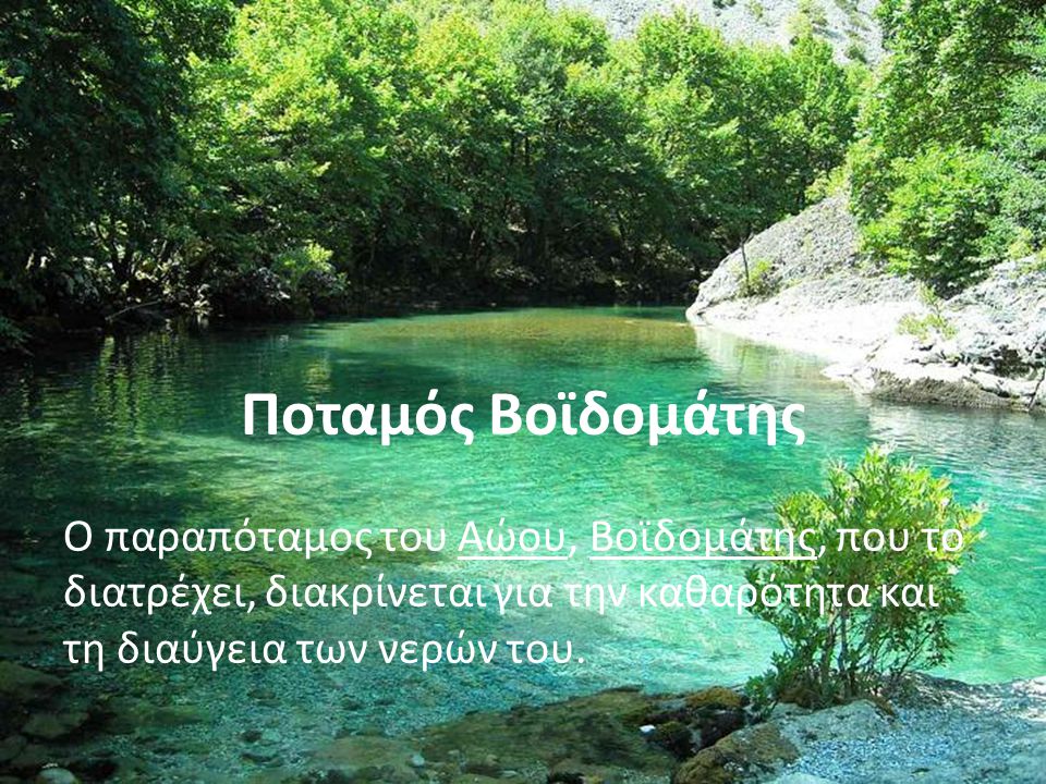 Ο παραπόταμος του Αώου, Βοϊδομάτης, που το διατρέχει, διακρίνεται για την καθαρότητα και τη διαύγεια των νερών του.