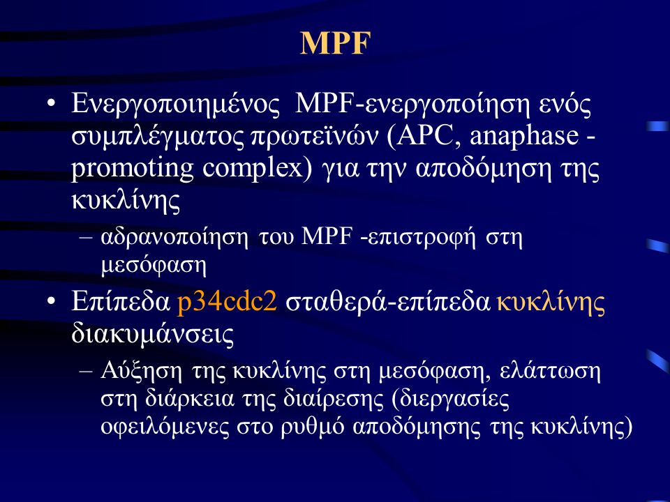 MPF Ενεργοποιημένος MPF-ενεργοποίηση ενός συμπλέγματος πρωτεϊνών (APC, anaphase -promoting complex) για την αποδόμηση της κυκλίνης.