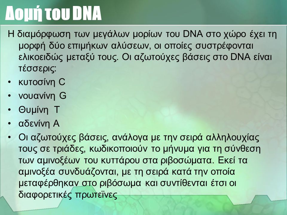Δομή του DNA