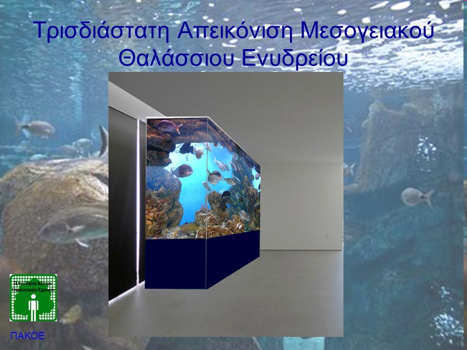 Τρισδιάστατη Απεικόνιση Μεσογειακού Θαλάσσιου Ενυδρείου