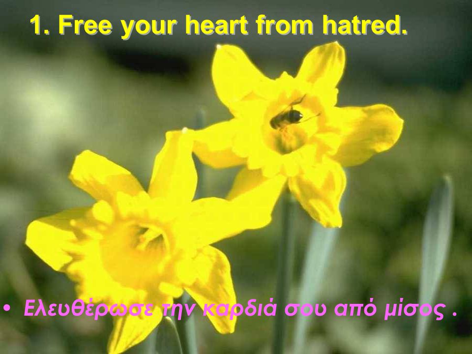 1. Free your heart from hatred.