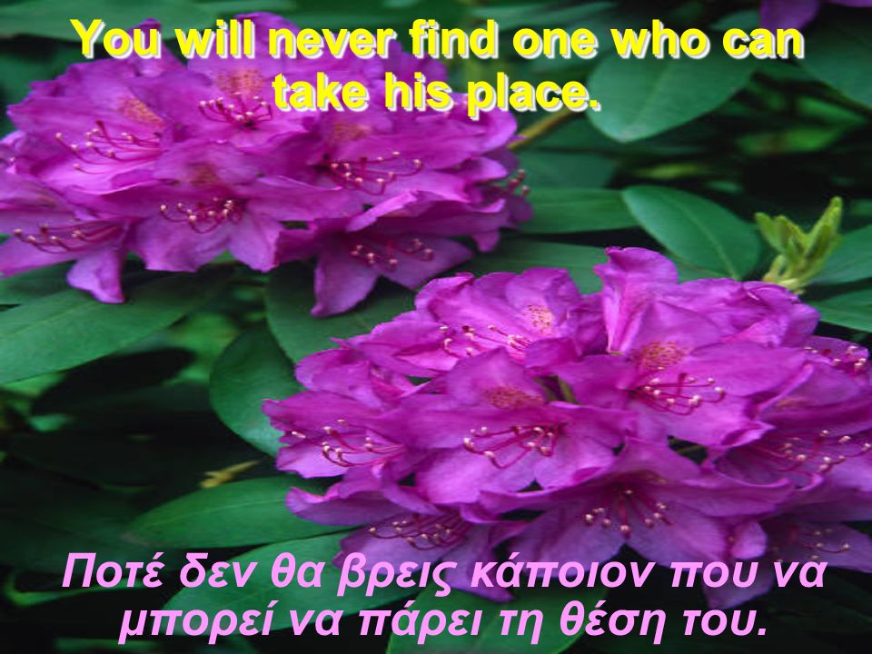 You will never find one who can take his place.