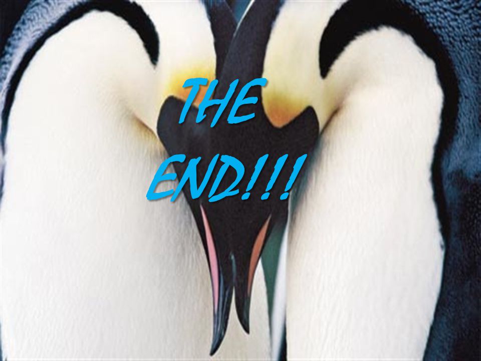 THE END!!!