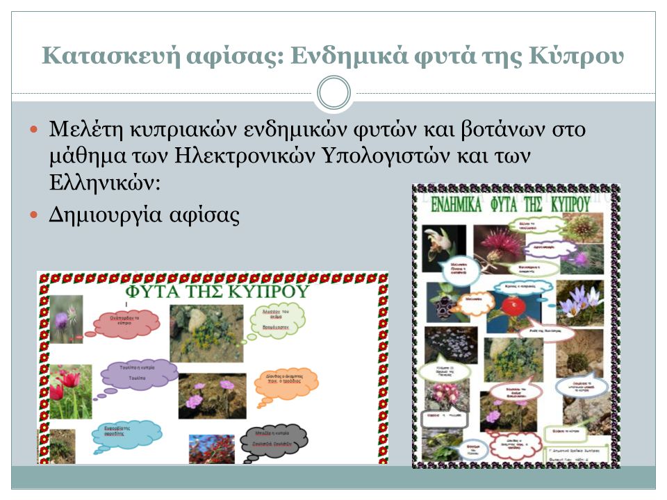 Κατασκευή αφίσας: Ενδημικά φυτά της Κύπρου