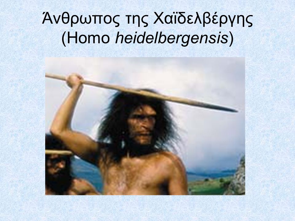 Άνθρωπος της Χαϊδελβέργης (Homo heidelbergensis)