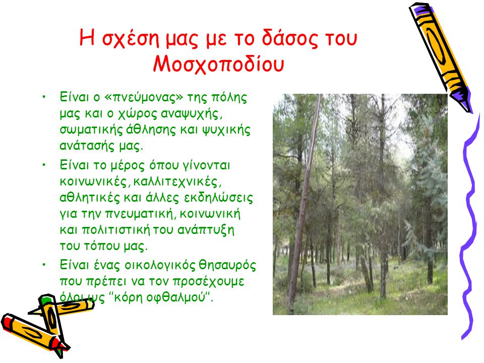 Η σχέση μας με το δάσος του Μοσχοποδίου