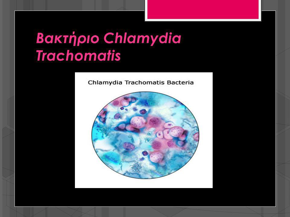 Βακτήριο Chlamydia Trachomatis