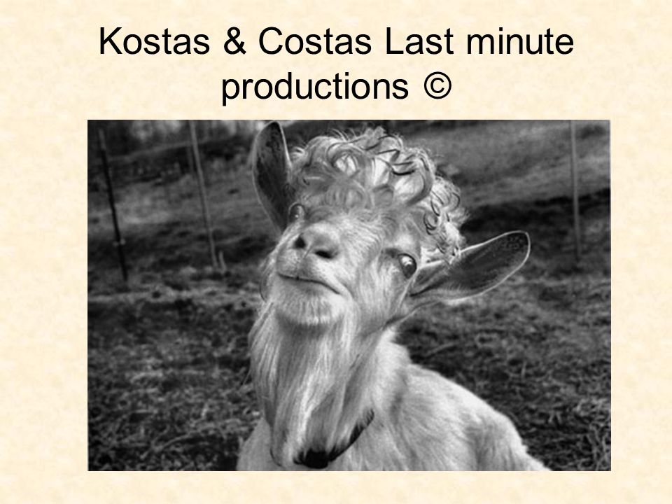 Kostas & Costas Last minute productions ©