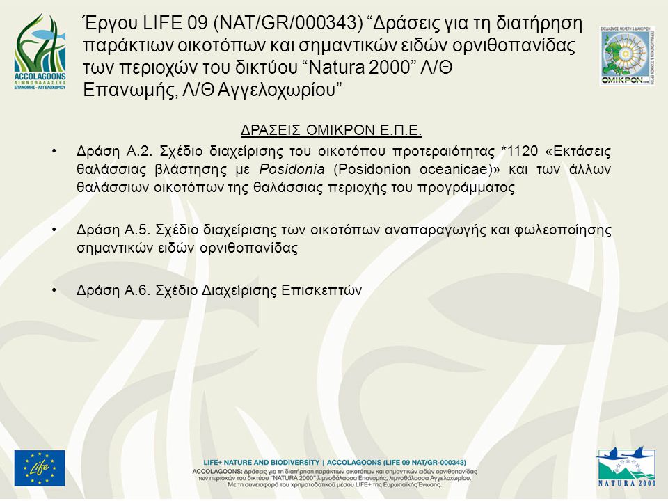 Έργου LIFE 09 (NAT/GR/000343) Δράσεις για τη διατήρηση παράκτιων οικοτόπων και σημαντικών ειδών ορνιθοπανίδας των περιοχών του δικτύου Natura 2000 Λ/Θ Επανωμής, Λ/Θ Αγγελοχωρίου