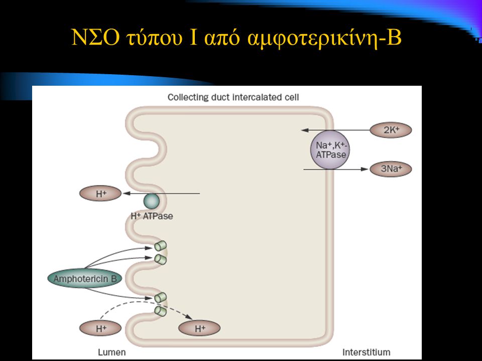 ΝΣΟ τύπου Ι από αμφοτερικίνη-Β