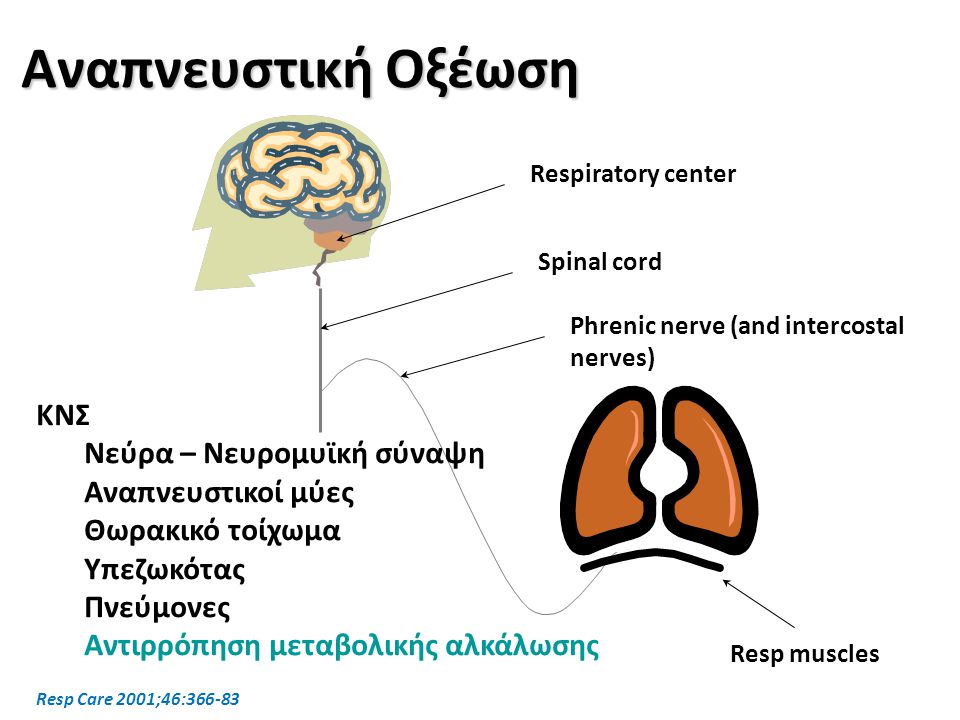 Αναπνευστική Οξέωση ΚΝΣ Νεύρα – Νευρομυϊκή σύναψη Αναπνευστικοί μύες
