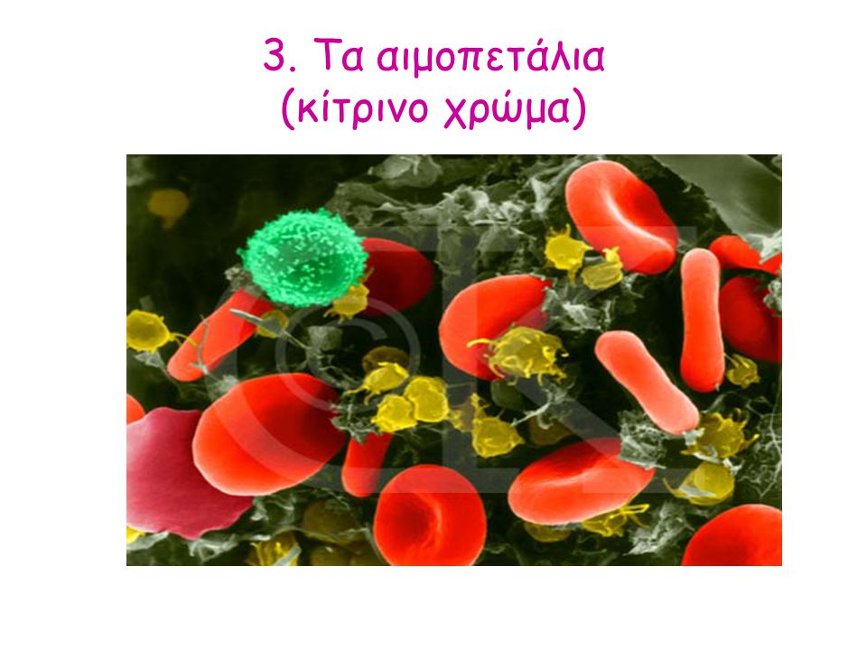 3. Τα αιμοπετάλια (κίτρινο χρώμα)