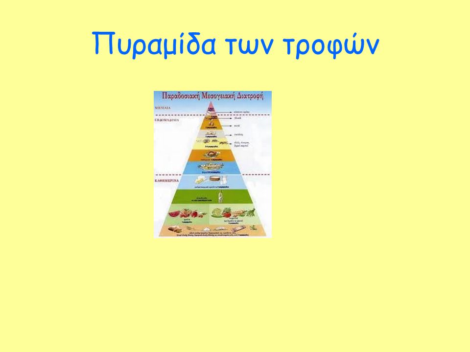 Πυραμίδα των τροφών