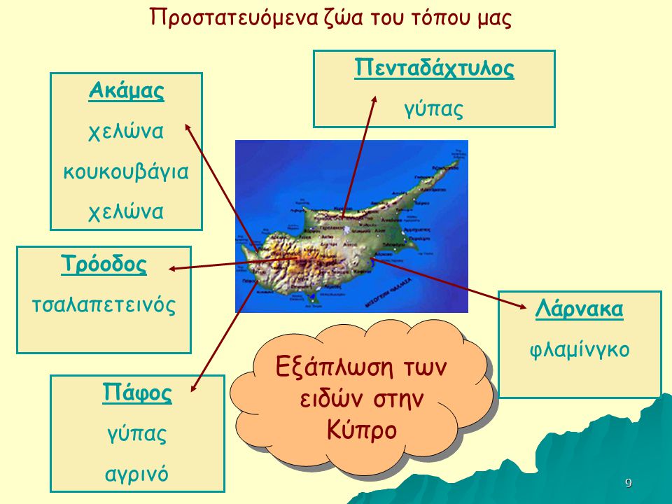 Εξάπλωση των ειδών στην Κύπρο