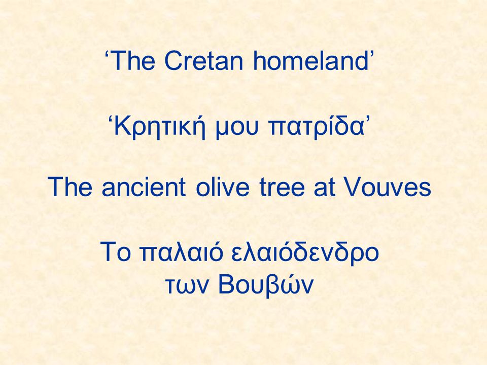 ‘The Cretan homeland’ ‘Κρητική μου πατρίδα’ The ancient olive tree at Vouves Το παλαιό ελαιόδενδρο των Bουβών