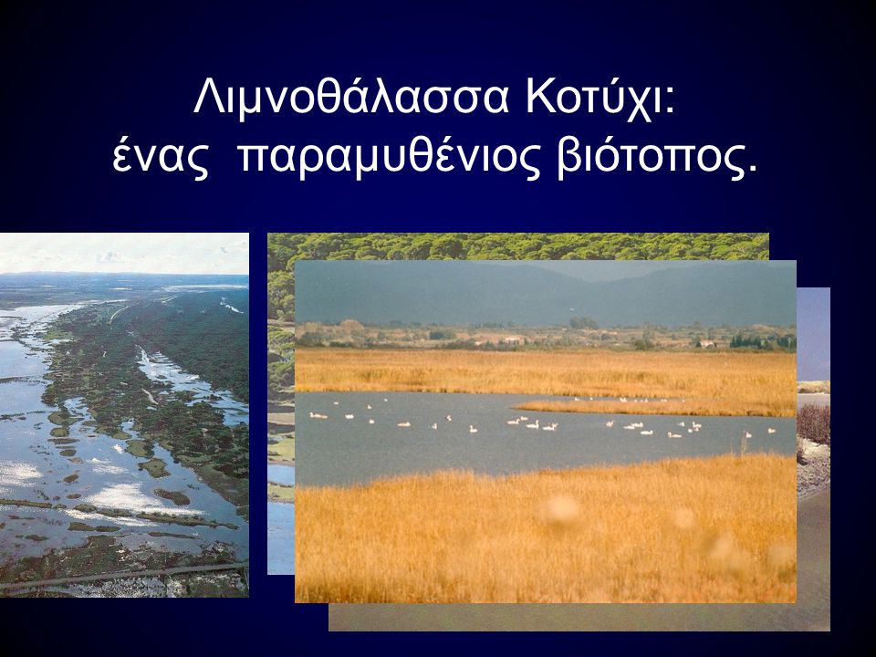 Λιμνοθάλασσα Κοτύχι: ένας παραμυθένιος βιότοπος.