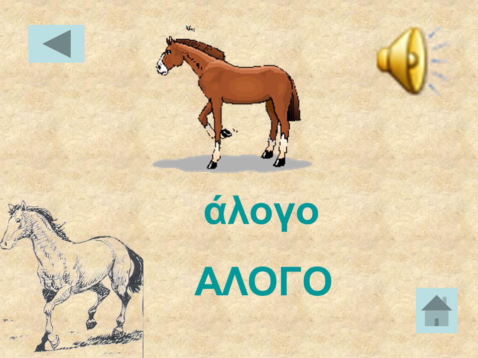 άλογο ΑΛΟΓΟ