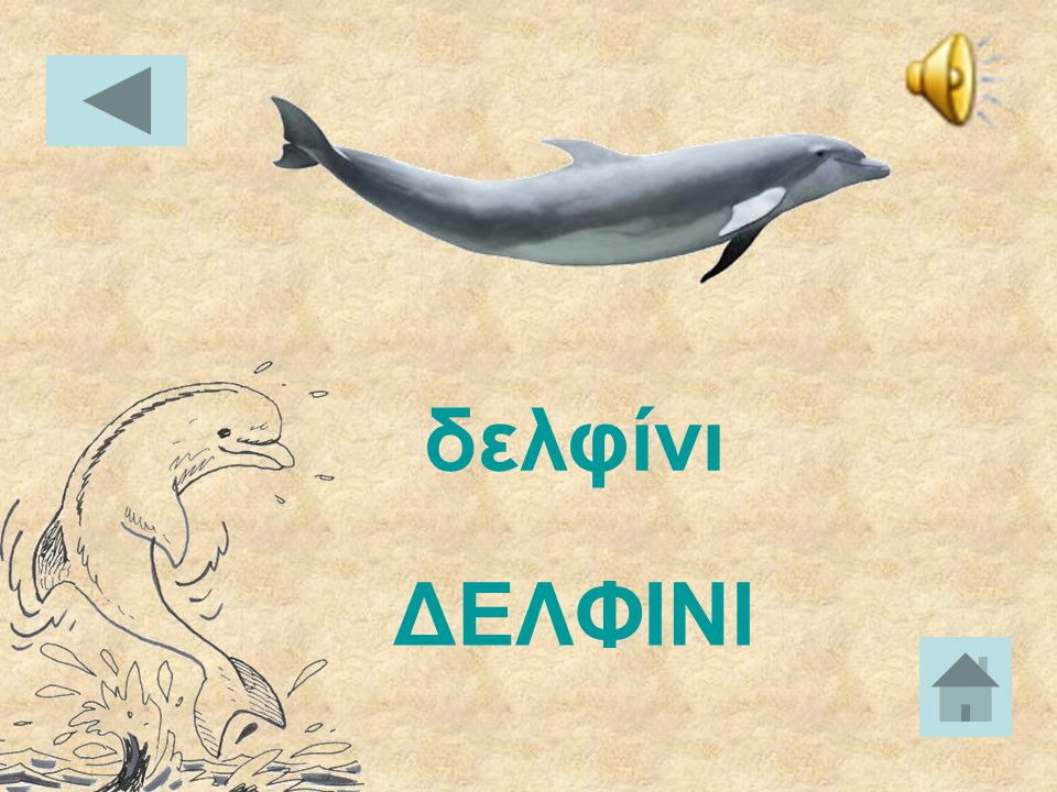 δελφίνι ΔΕΛΦΙΝΙ