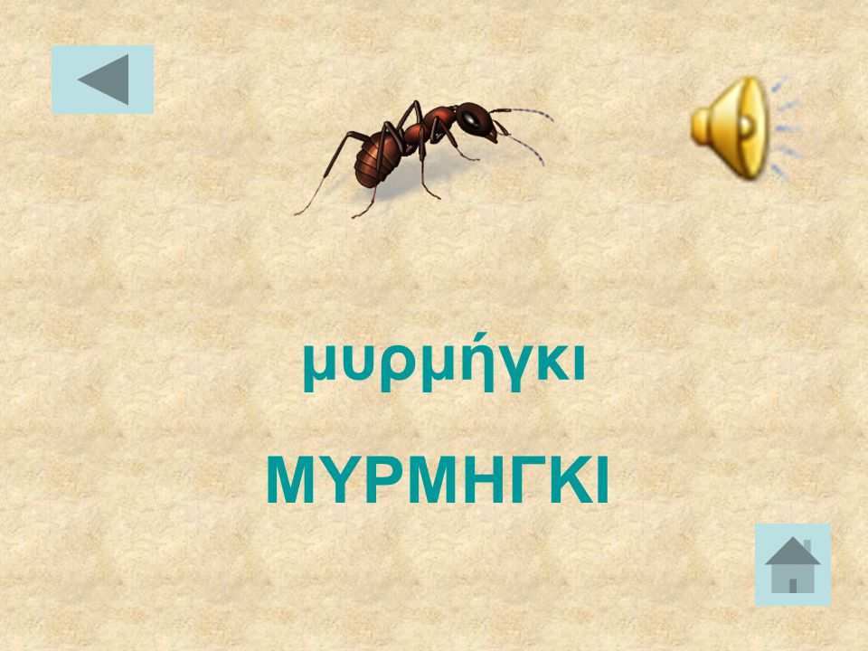 μυρμήγκι ΜΥΡΜΗΓΚΙ