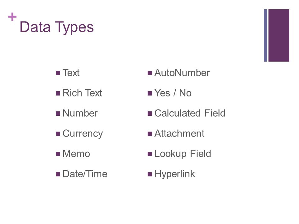 Data Types Text Rich Text Number Currency Memo Date/Time AutoNumber