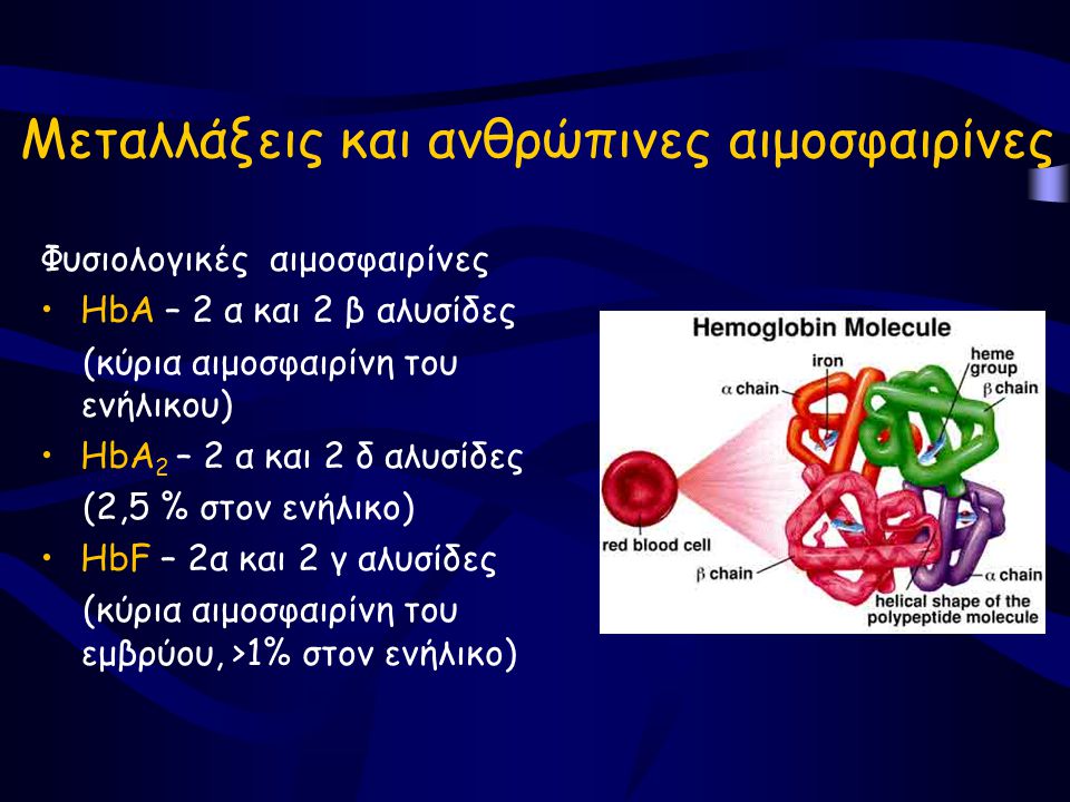 Μεταλλάξεις και ανθρώπινες αιμοσφαιρίνες
