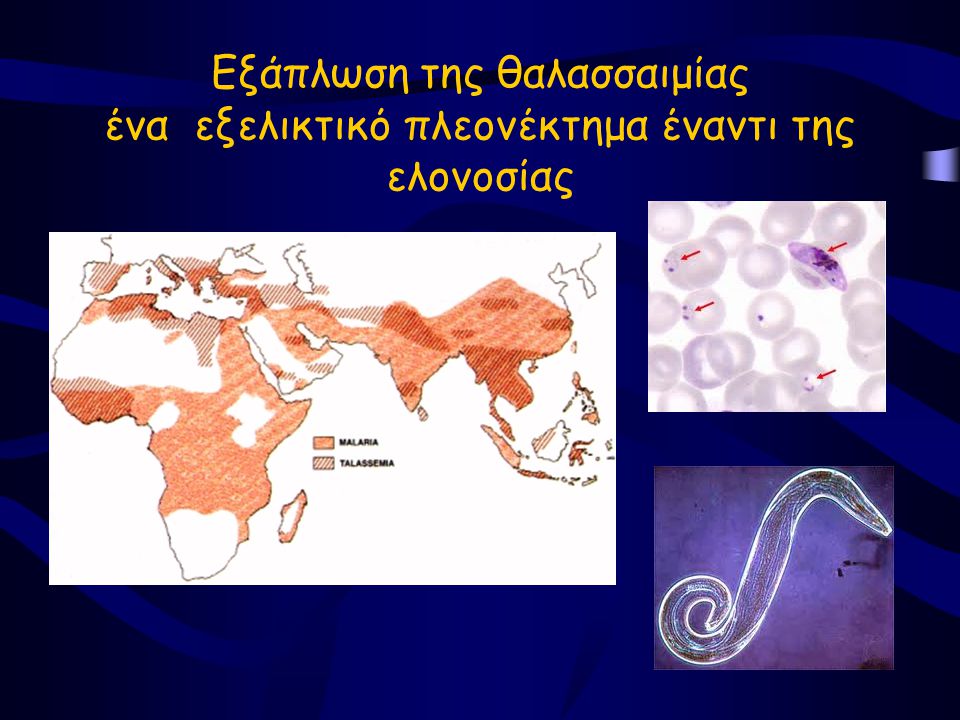 Εξάπλωση της θαλασσαιμίας ένα εξελικτικό πλεονέκτημα έναντι της ελονοσίας