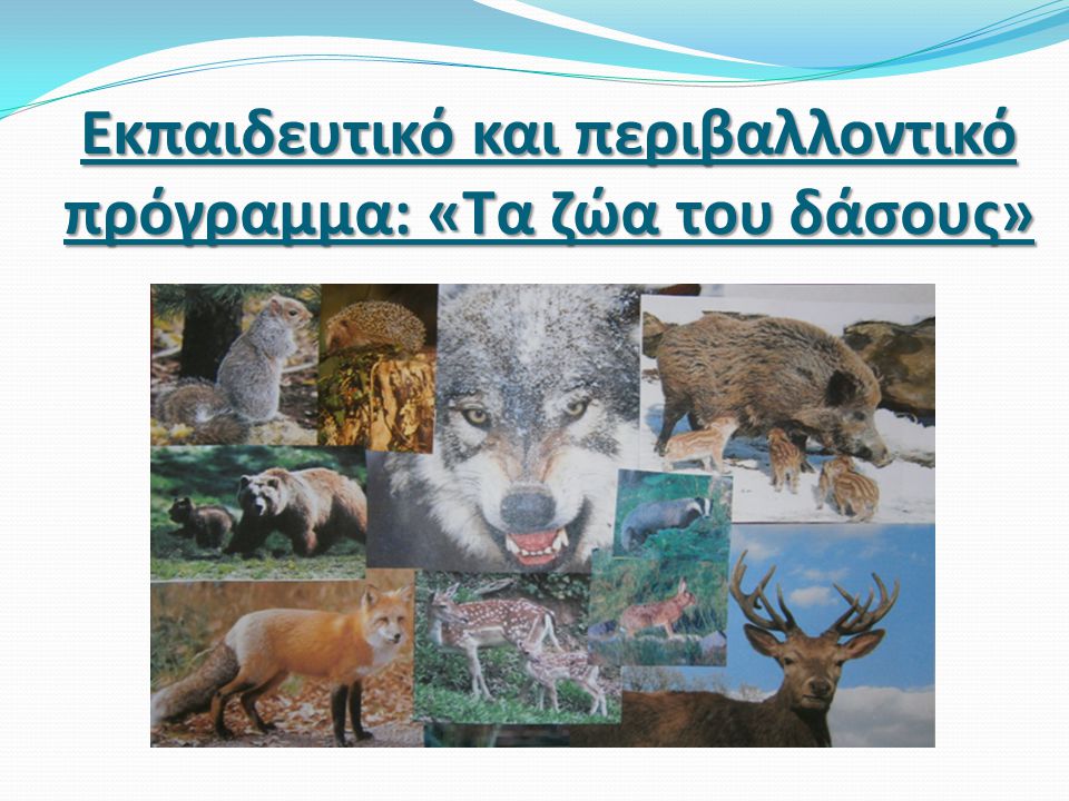 Εκπαιδευτικό και περιβαλλοντικό πρόγραμμα: «Τα ζώα του δάσους»