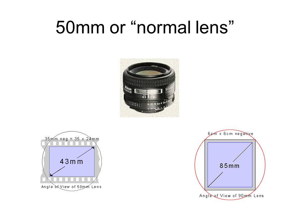 50mm or normal lens