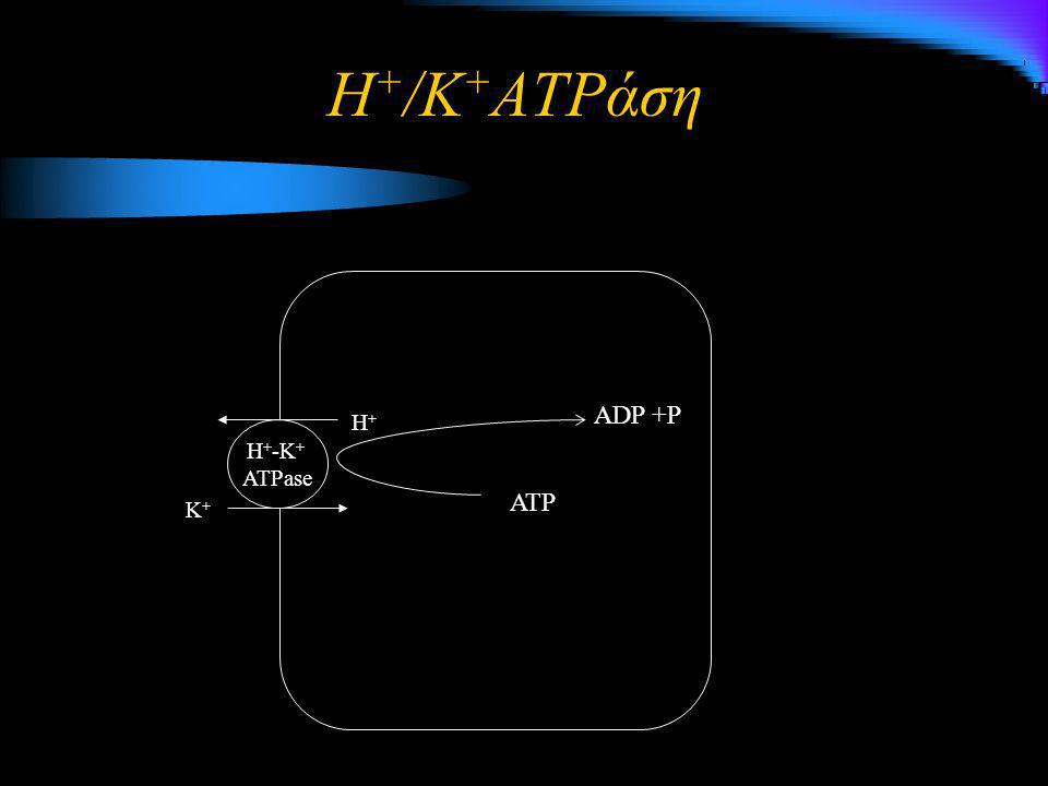 Η+/K+ATPάση ADP +P H+ H+-K+ ATPase ATP K+